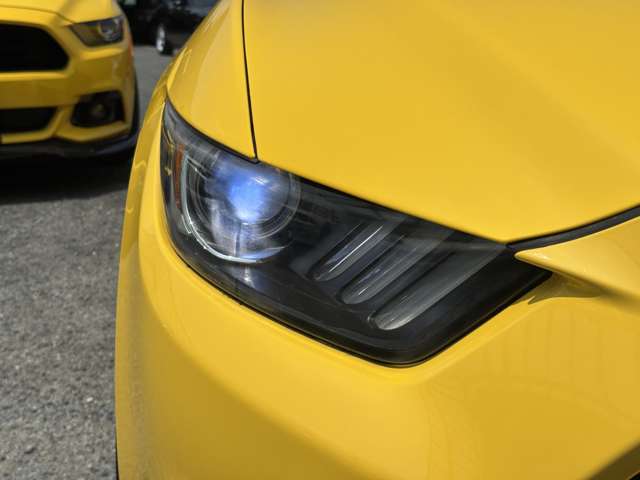 2015 Ford Mustang 50 Years Edition 2.3L Turbo Coupe for export from Japan