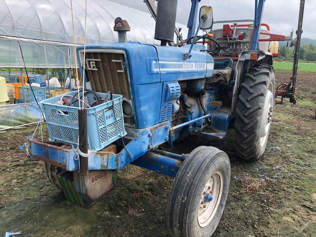FORD 6600 TRACTOR (No.J0832)
