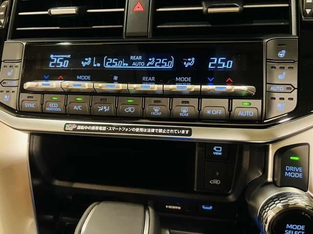 2025 TOYOTA LAND CRUISER 300 ZX 4WD