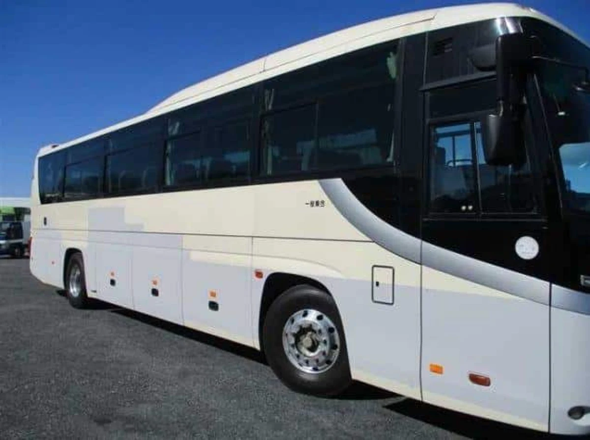 2009 Hino Selega PKG-RU1ESAA Coach bus (No.J0733)