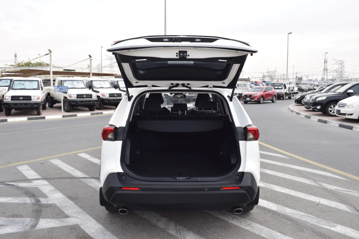 Toyota RAV4 Push 2019 (No-830717)
