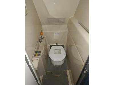 2010 MITSUBISHI AERO BUS BKG-MS96JP 30 SEATER With Toilet (No.J0829)