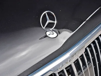 2021 Mercedes-Benz  Maybach GLS600 (No.480530)