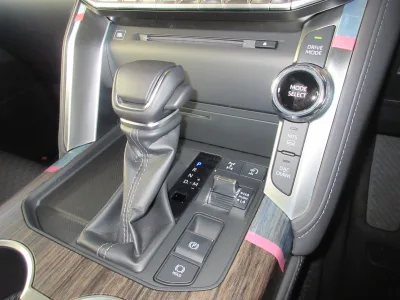 2025 TOYOTA LAND CRUISER 300 3.3 ZX DIESEL (No.960828)