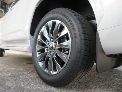 2025 TOYOTA LAND CRUISER 300 3.3 ZX DIESEL (No.960828)
