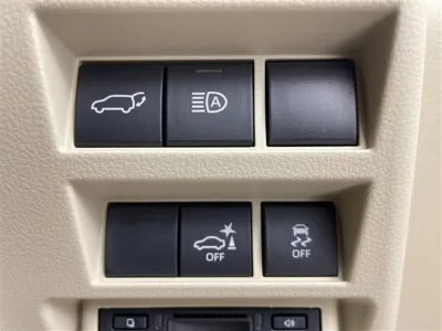 2025 TOYOTA LAND CRUISER 300 ZX 4WD