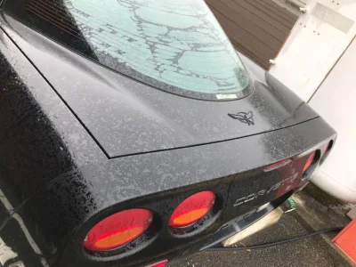 2000 Chevrolet Corvette  GF-CY25E LHD 5660CC (No.J0539) for export from Japan