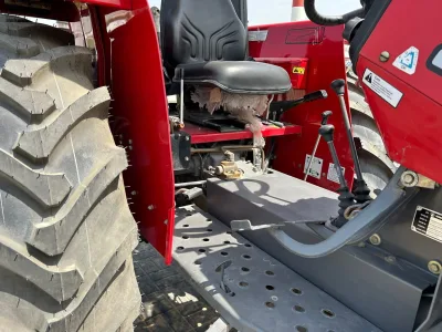 2022 New Massey Ferguson 385 Tractor (No.200823)