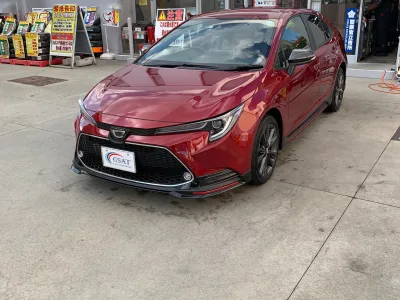 2022 Toyota Corolla Wxb for export from Japan